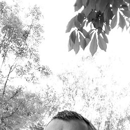 �., ��������, 49 ���