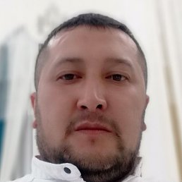 ������, �������, 38 ���