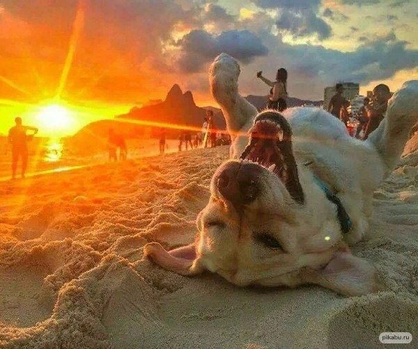  -     ,    ...