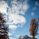 ���� ������� *), ����, 51 ��� - ��������� 29 �������� 2023 � ������ ���� ����������