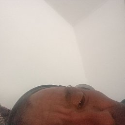 �����, �������, 46 ���