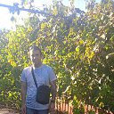 ���� ������, ����, 39 ��� - ��������� 17 ������� 2023