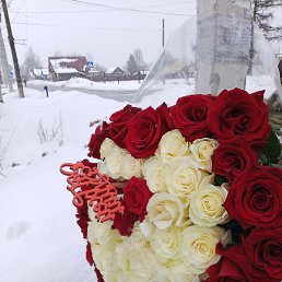 �������, ���, 52 ����