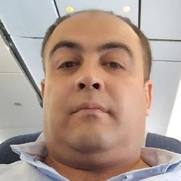 �����, ������, 41 ���