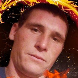 �������, �������, 36 ���