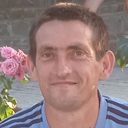 �������, ���������, 43 ����