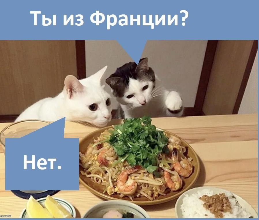  .,    ! - 2