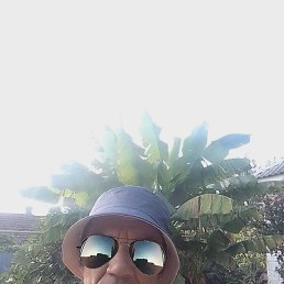 ���� �������, ���������, 39 ��� - ��������� 3 �������� 2023