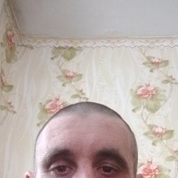 ������, ������, 40 ���