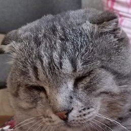 ������, ������, 47 ���