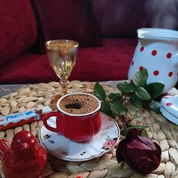 Alami, �����, 51 ���