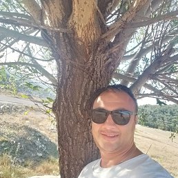 ���� �����, ����, 43 ���� - ��������� 29 ���� 2023