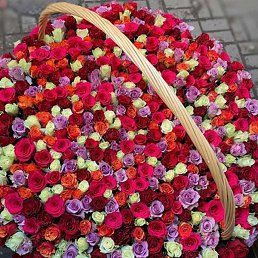 ������, ������, 45 ���