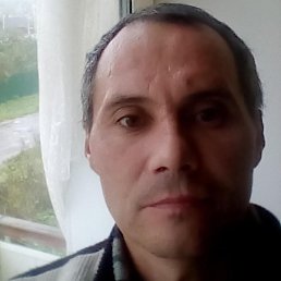 �������, �������, 46 ���