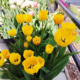 ������, ����������, 48 ���