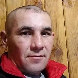 �����, ���������, 42 ����