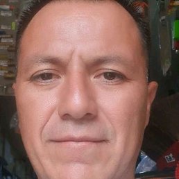 Cesar, ����, 49 ���