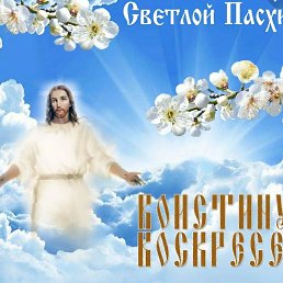 ���� ����, ����, 66 ��� - ��������� 23 ������ 2023