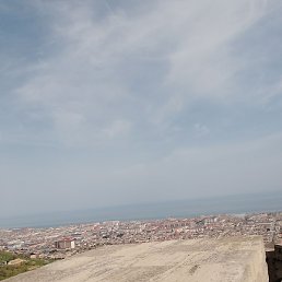 �����, ������, 41 ���