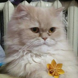 ���� ����, ������, 37 ��� - ��������� 18 ������� 2023