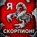 ���� �����, ������, 40 ��� - ��������� 4 ��� 2023