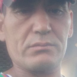 �����, ������, 40 ���