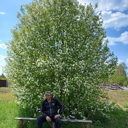 Artur, ���������, 39 ���