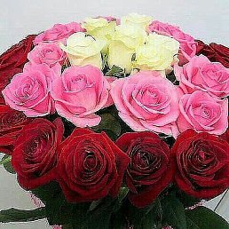 �����, �����, 40 ���