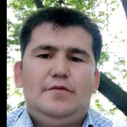 ����, ������, 41 ���