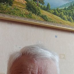 �����, ������, 75 ���