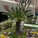 ���� ���, ������ - ��������� 1 ��� 2023 � ������ ���� ����������