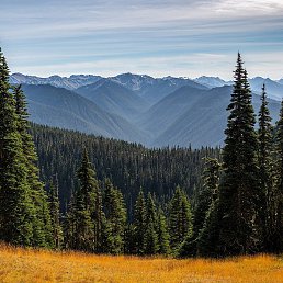 Davit, ������, 28 ���