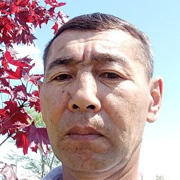 ����, ���������, 51 ���