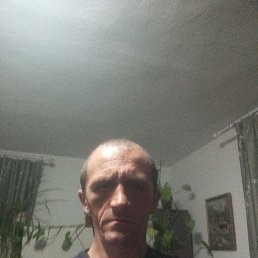 , 43 , 