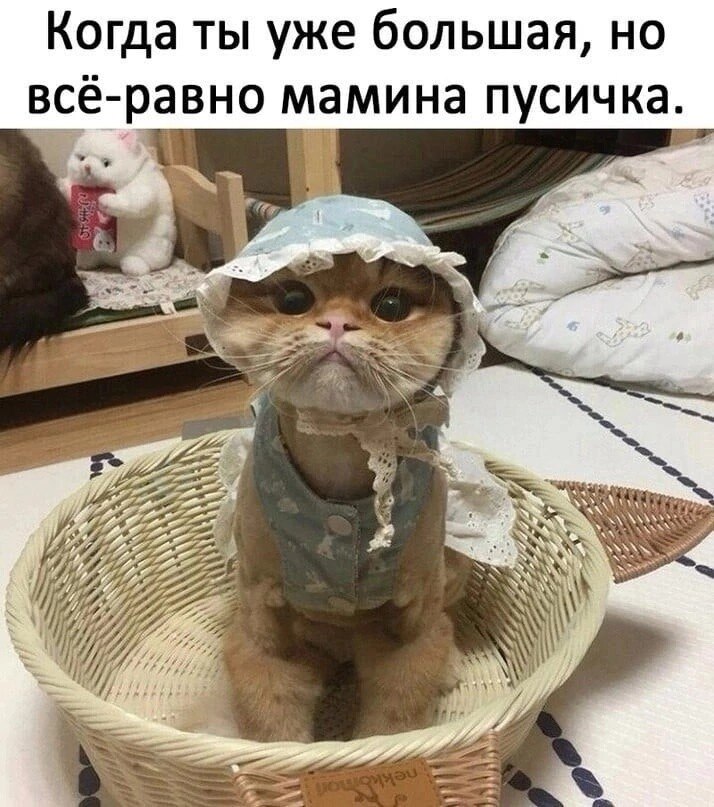 >^..^<