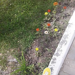 ������ ������, ���������, 32 ����