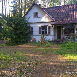 ���������, �����, 30 ���