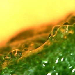 �������, �������