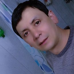 �����, ������, 37 ���