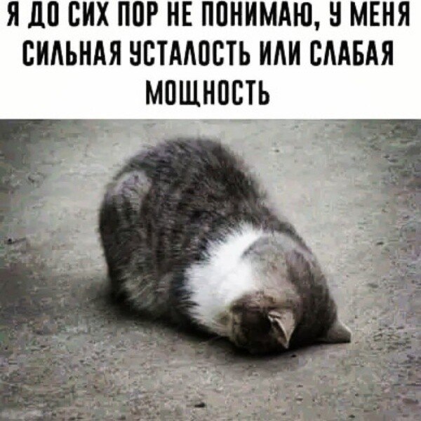 ***Victoria Viktorovna*** - 8  2023  05:21