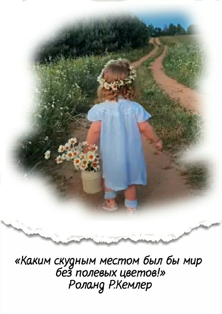 * * * * * * * * * * * * * * * * * *