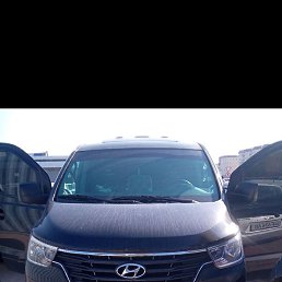 �����, �������, 43 ����