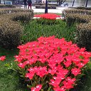 ���� Galla, �������� - ��������� 6 ������� 2023 � ������ ���� ����������