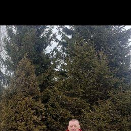 ���� ����, ������, 54 ���� - ��������� 14 ������� 2023