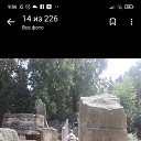 ���� �����, ����, 43 ���� - ��������� 6 ������� 2023 � ������ ���� ����������