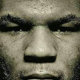 ���� ������, ������, 41 ��� - ��������� 10 �������� 2023