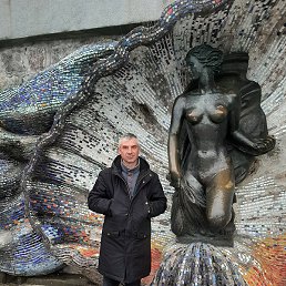 ����, �����������, 48 ���