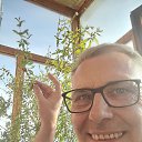 �������� �������� ����� �� ������� ���� ����������