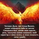 ���� ��., ����-������� - ��������� 7 �������� 2023 � ������ ������ ��������