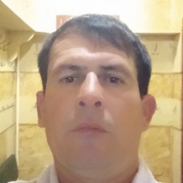 �����, ������